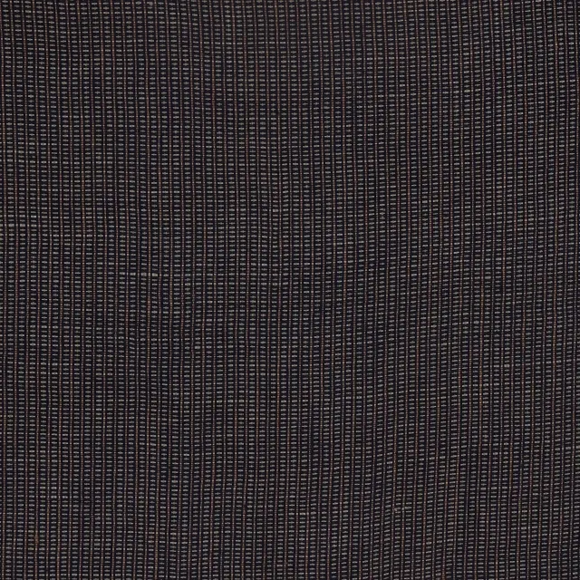 West Timor Stripe